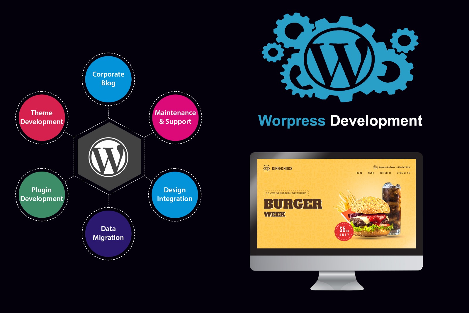 wordpress development